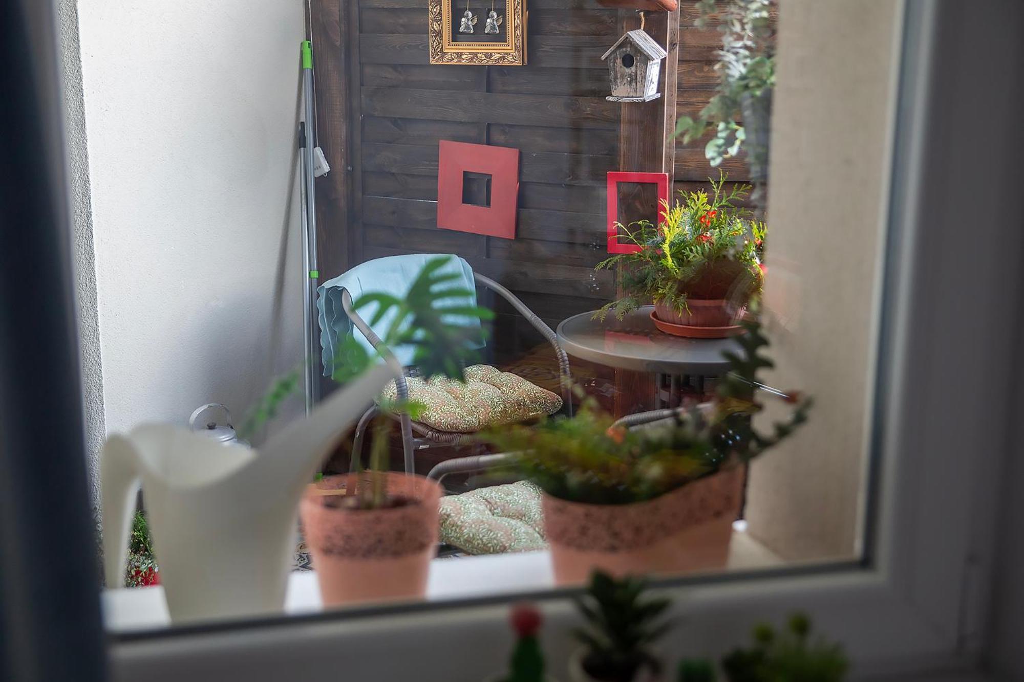 Apartament U Olechny 4 Bydgoszcz Buitenkant foto